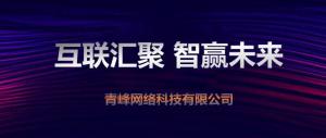 “互聯(lián)聚匯，智贏(yíng)未來(lái)” 2019焦作青峰全網(wǎng)合作峰會(huì)***成功！
